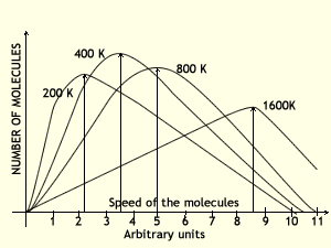 Maxwell molecules velocities graph