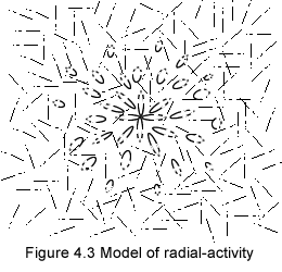 radial activity