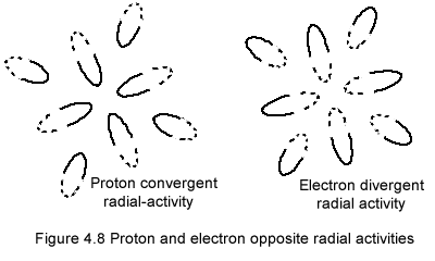Proton and electron opposite structure